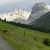 Stilfserjoch-Alpe Mora