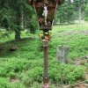Bundschen-Mölten