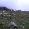 Südtirol-West Tag 7