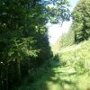 Tannschwärze