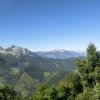 Tannschwärze