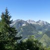 Tannschwärze