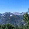 Tannschwärze