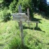 Tannschwärze