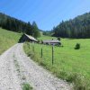 Tannschwärze