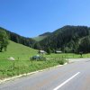 Tannschwärze