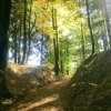 Traunfall-Rundwanderung