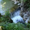 Triftsteig-2011