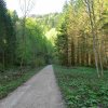 Triftsteig-2018