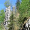 Triftsteig-2018
