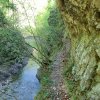 Triftsteig-2018