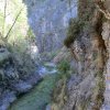 Triftsteig-2018