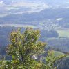 Ulrichsberg