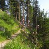 Parkhütte Varusch-S-chanf