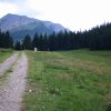 Hohe Veitsch