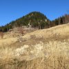 Windhagkogel